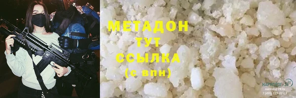 прущие грибы Алексеевка
