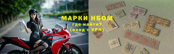 прущие грибы Алексеевка