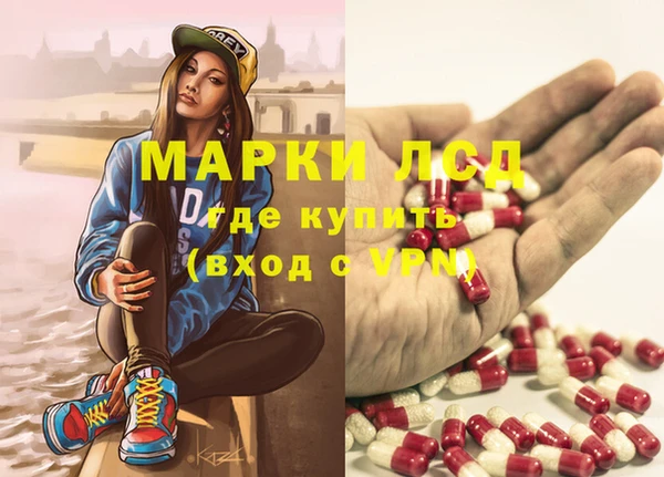 прущие грибы Алексеевка