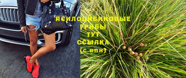 прущие грибы Алексеевка