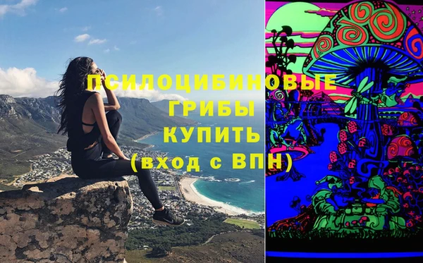 дмт Алексин
