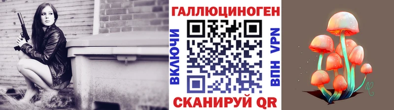 mega рабочий сайт  darknet телеграм  Псилоцибиновые грибы Magic Shrooms  Салаир 